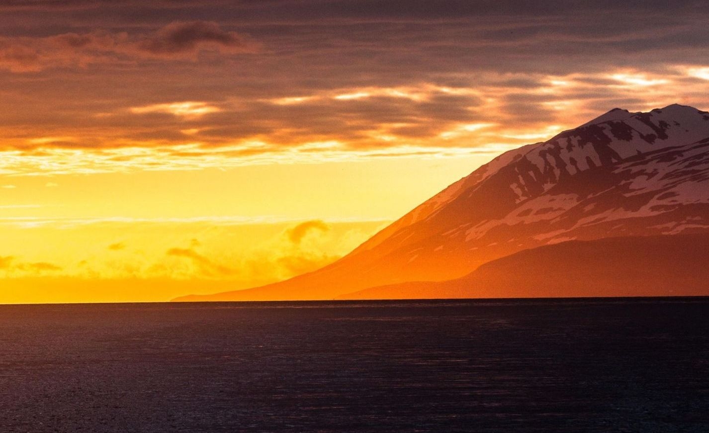 Что новенького? Декабрь.