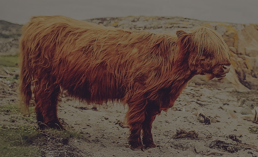 Не сравнивай себя с другими, сравнивай себя с собой вчерашним