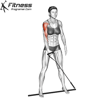 Протяжка одной рукой с Gymstick