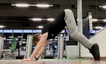 Pseudo planche raises (Planche leans (dynamic))